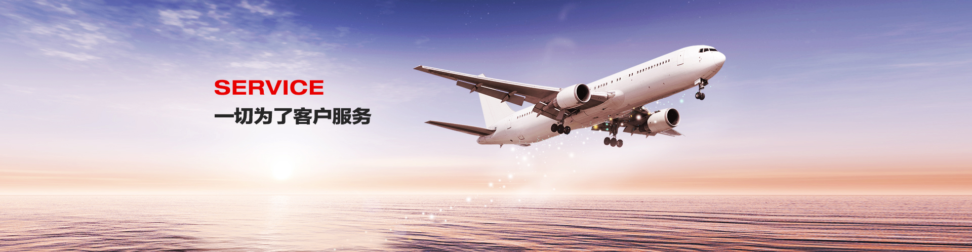 菲思邁不銹鋼丸廠家,一切為了客戶服務